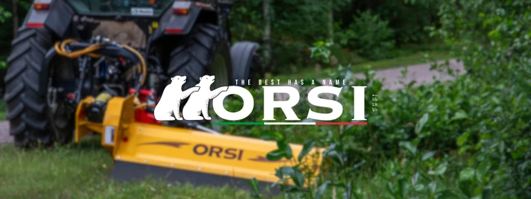 Orsi
