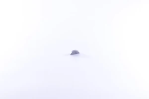 Kil, hydraulpump/motor